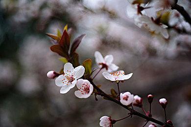 赚麻了！Switch世代总利润已超任天堂此前35年利润总和